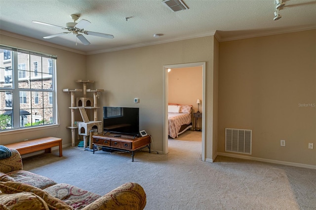 carpeted living room with a healthy amount of sunlight, a textured ceiling, and ornamental molding