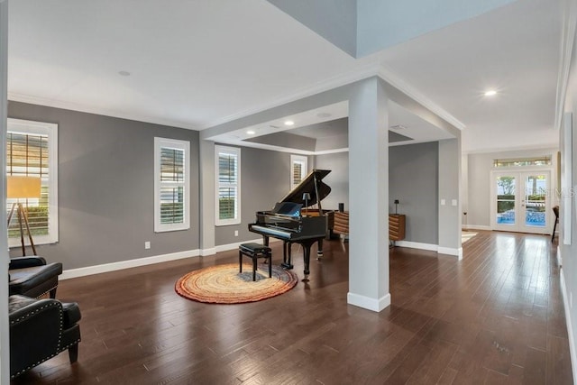 misc room with dark wood-type flooring, crown molding, and french doors