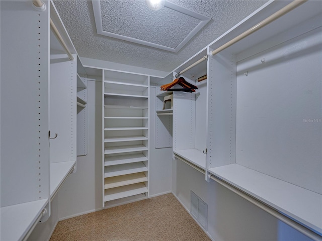 spacious closet with light colored carpet