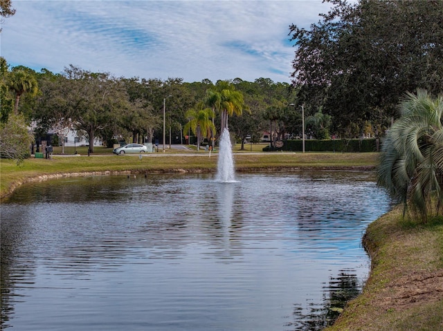 view of water feature