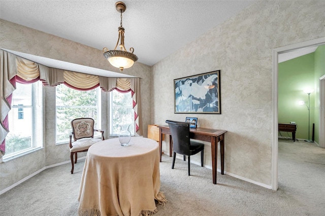 carpeted office space with plenty of natural light