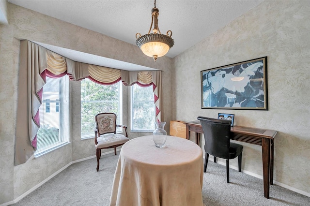 carpeted home office with a textured ceiling