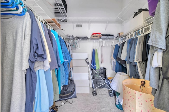 spacious closet with carpet