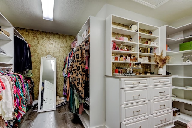 walk in closet featuring dark wood-type flooring