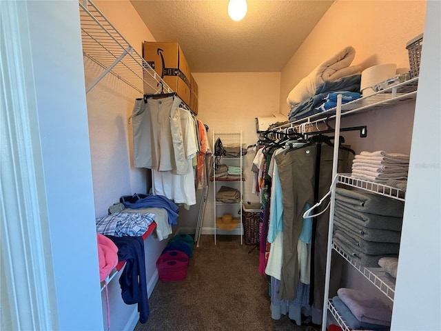 walk in closet with carpet flooring