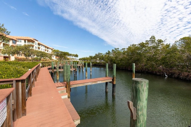 dock area with a water view