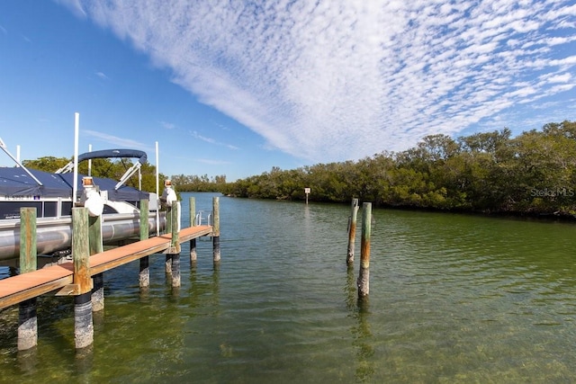 dock area with a water view