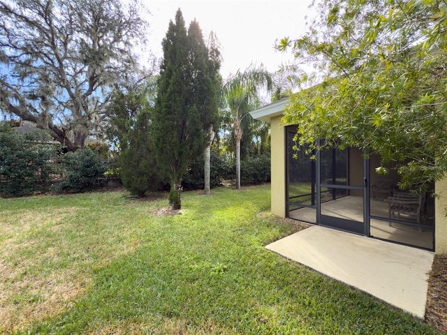 view of yard featuring a patio area