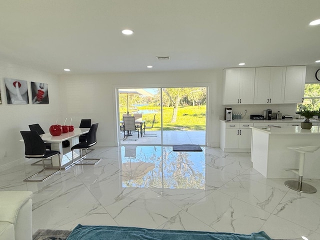 dining room featuring a healthy amount of sunlight