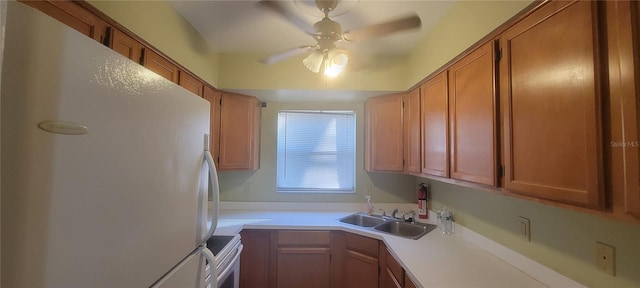 kitchen featuring ceiling fan, sink, white fridge, and stove