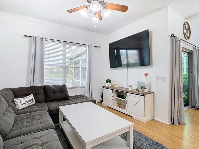 living room with ceiling fan and light wood-type flooring