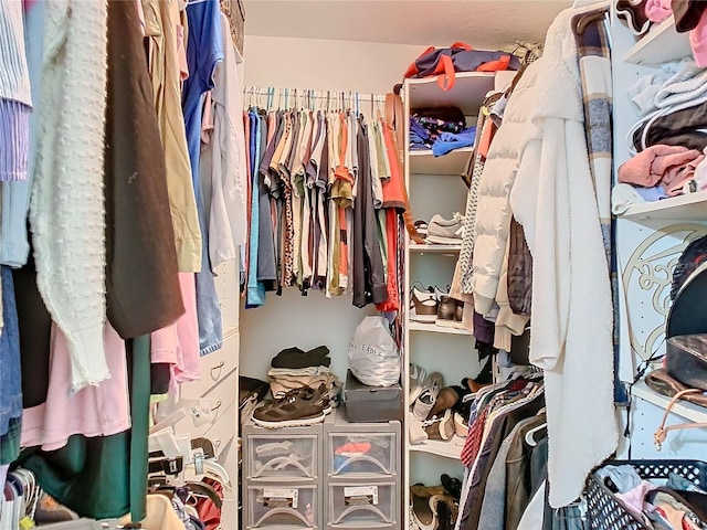 view of spacious closet