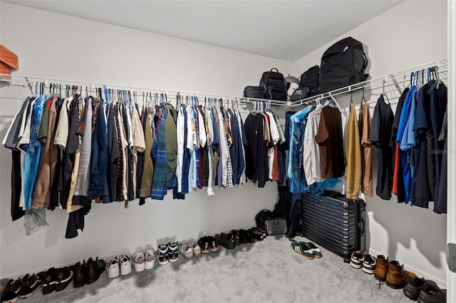 walk in closet with carpet floors