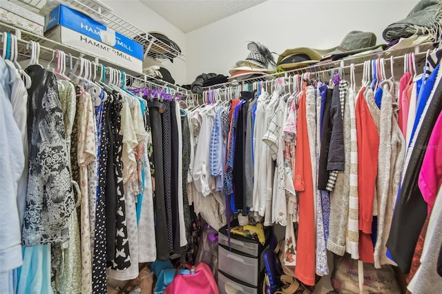 view of spacious closet