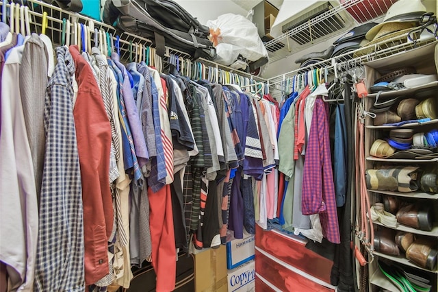 view of walk in closet