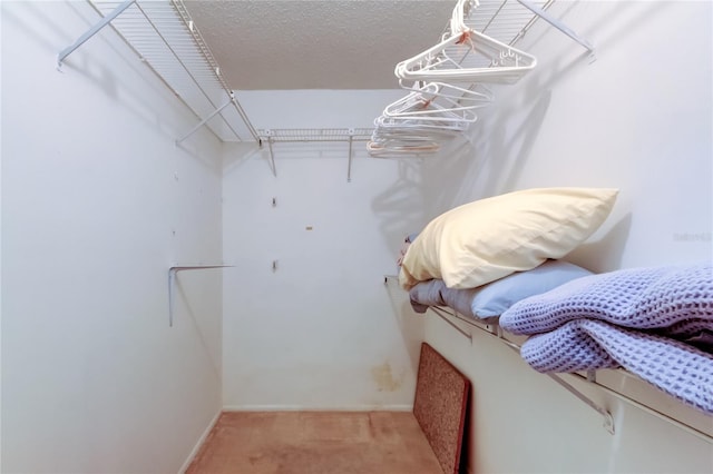 spacious closet with light carpet