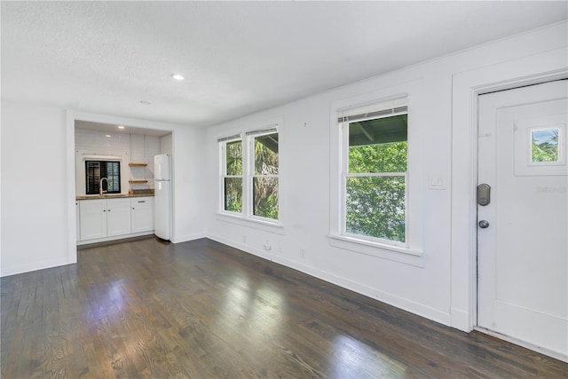 unfurnished living room featuring dark wood-type flooring and sink