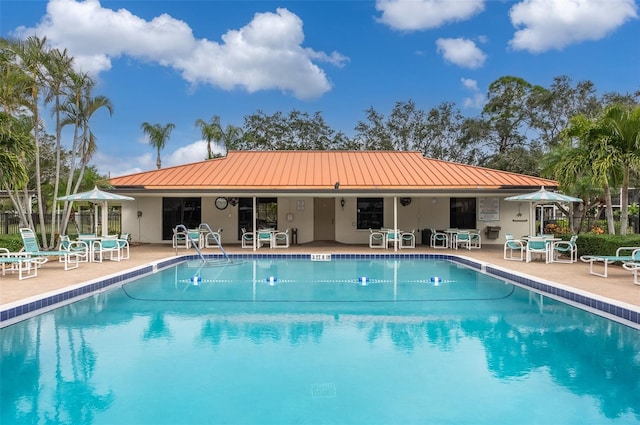 view of swimming pool featuring a patio area