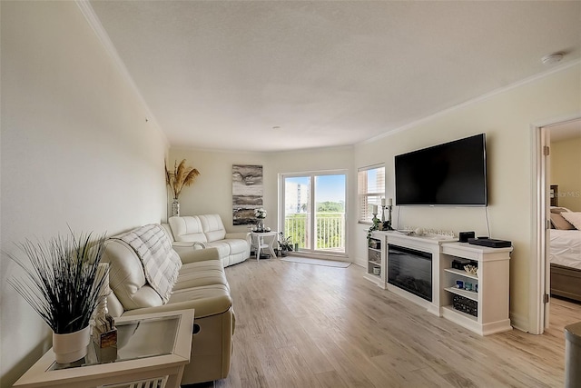 living room featuring a fireplace and light hardwood / wood-style floors