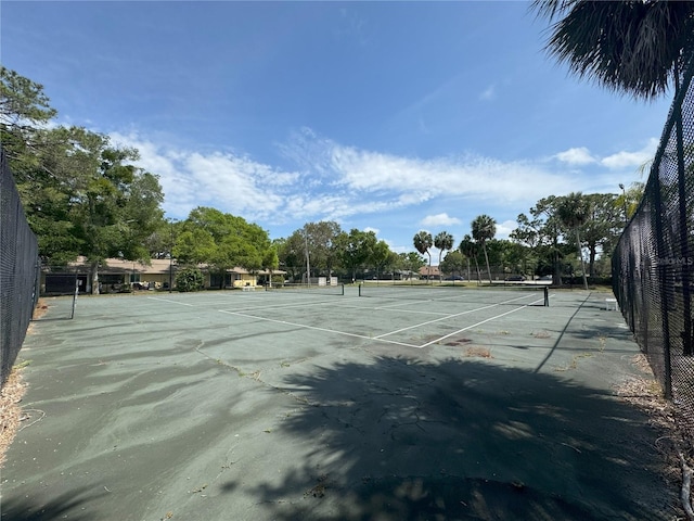 2066 Sunset Point Rd Unit 97, Clearwater, FL 33765 - photo 17