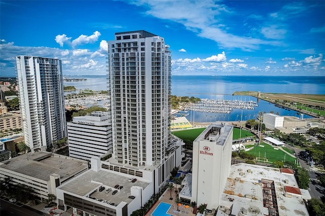 bird's eye view with a water view