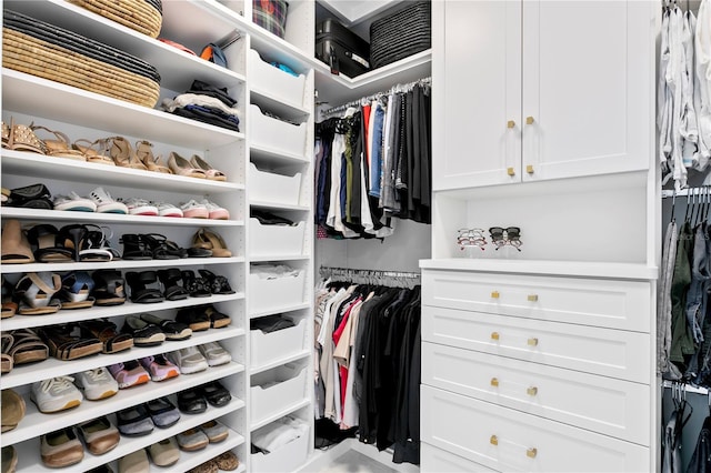 view of spacious closet