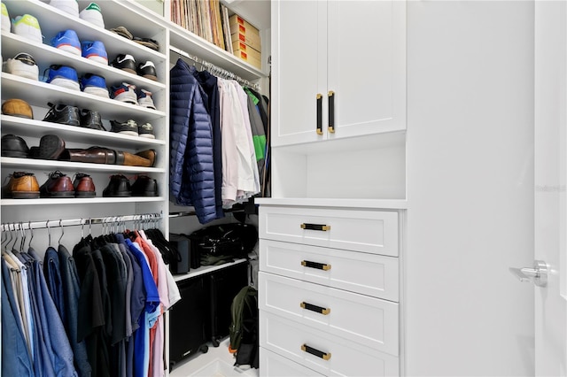 301 1st St S Unit 1002, Saint Petersburg, FL 33701 - view of closet