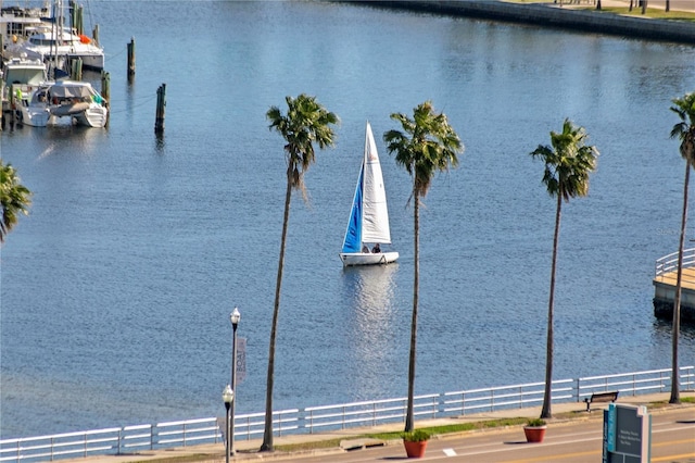 301 1st St S Unit 1002, Saint Petersburg, FL 33701 - water view