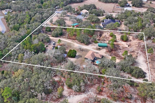 12404 Dolquieb Ln, Weeki Wachee, FL 34614 - photo 8