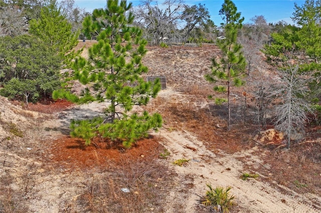 12404 Dolquieb Ln, Weeki Wachee, FL 34614 - photo 49