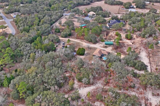 12404 Dolquieb Ln, Weeki Wachee, FL 34614 - photo 55