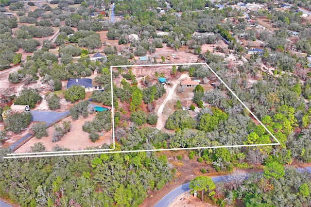12404 Dolquieb Ln, Weeki Wachee, FL 34614 - photo 58