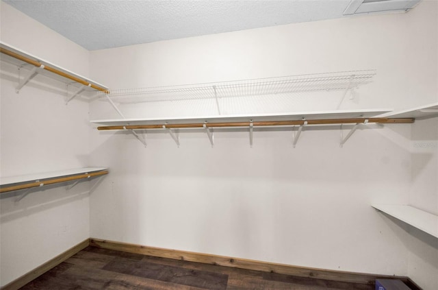 walk in closet featuring dark hardwood / wood-style flooring