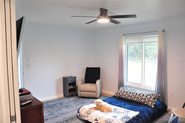 living area with ceiling fan