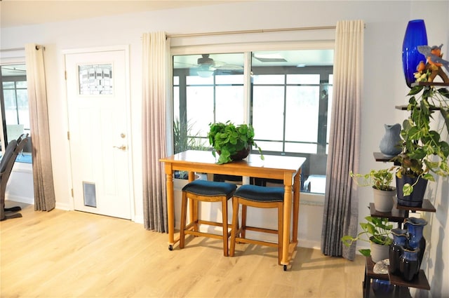 dining area with light hardwood / wood-style flooring