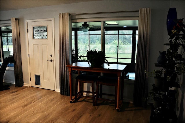 entrance foyer featuring hardwood / wood-style floors and a healthy amount of sunlight