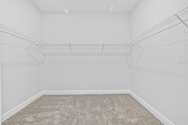 walk in closet featuring carpet floors