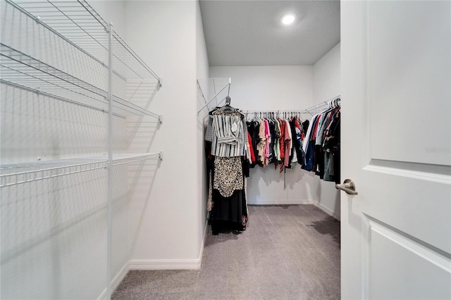 spacious closet with carpet flooring