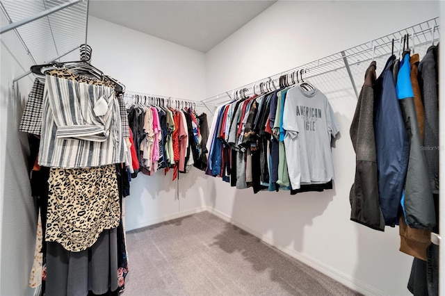 spacious closet featuring carpet floors