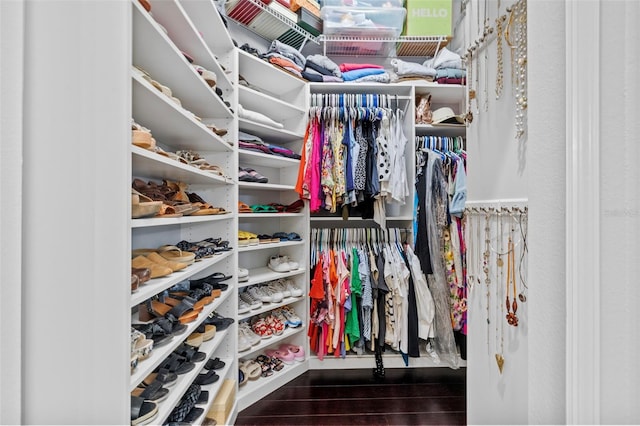 walk in closet with dark hardwood / wood-style flooring