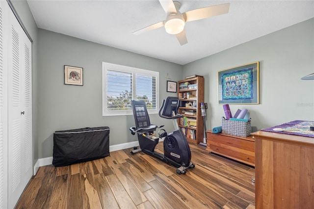 workout area featuring ceiling fan and wood-type flooring