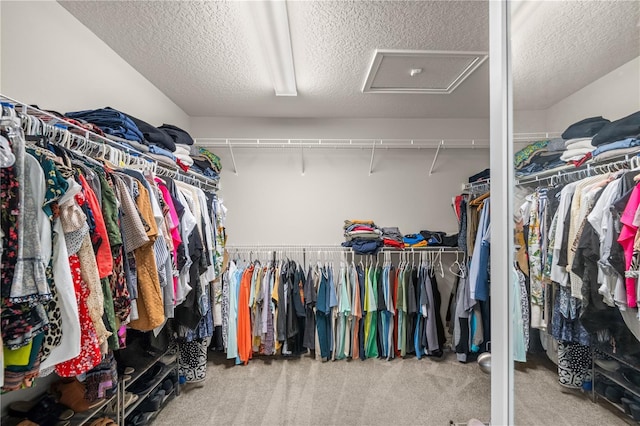 spacious closet with carpet floors