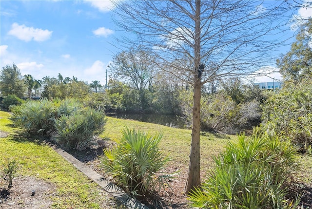 view of yard with a water view