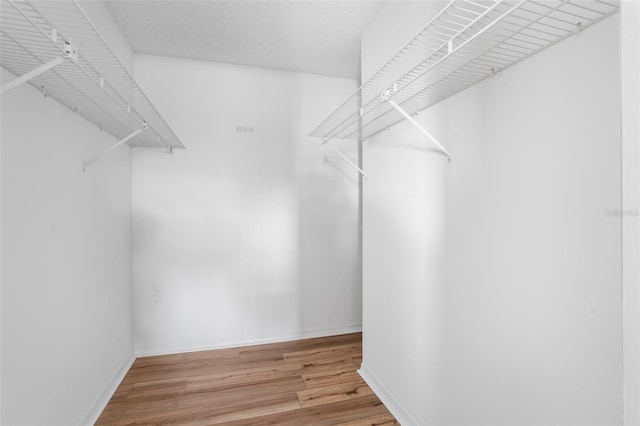 walk in closet featuring light hardwood / wood-style flooring