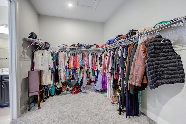 walk in closet featuring carpet floors