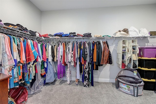 walk in closet with carpet