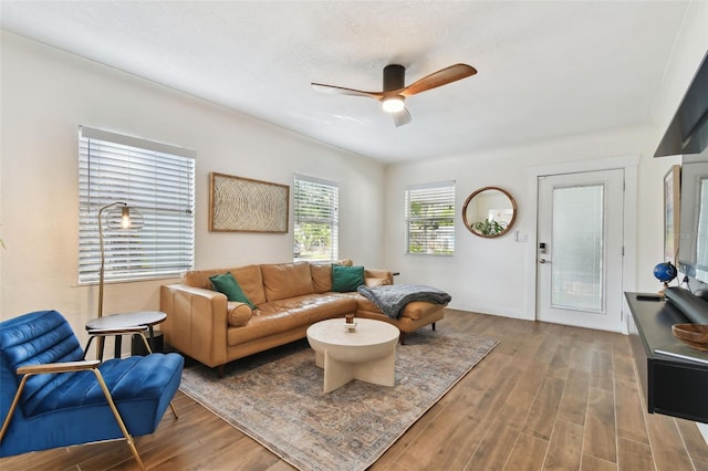 living room with ceiling fan and wood-type flooring