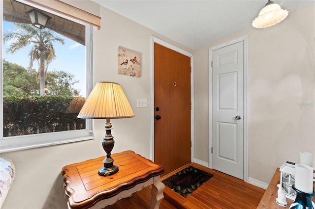 foyer entrance featuring hardwood / wood-style floors