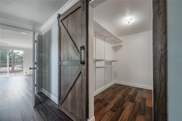 corridor featuring dark hardwood / wood-style flooring, crown molding, and a barn door