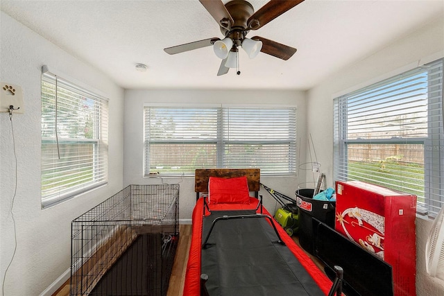 interior space with ceiling fan and wood-type flooring